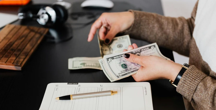 Pair of hands counting money, signifying budgeting for pet relocation and saving up for an international move with pets.