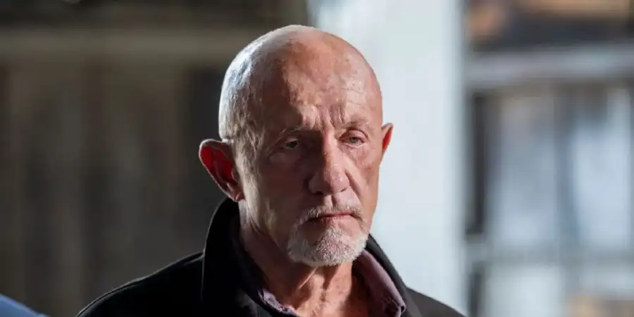 Photo of Mike Ehrmantraut, resembling the pet relocation specialist, waiting for us to prepare the cage before the international shipment of our bird.